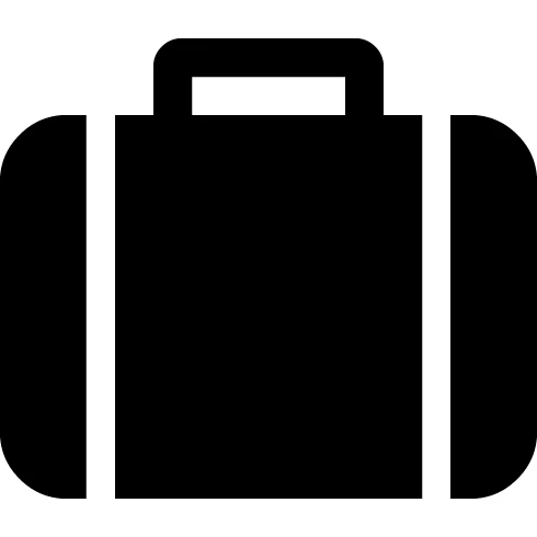 Rhino Gray Luggage